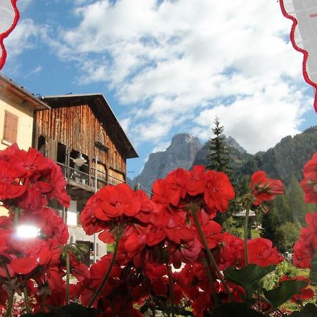 Dolomites Holidays Selva di Cadore Szoba fotó